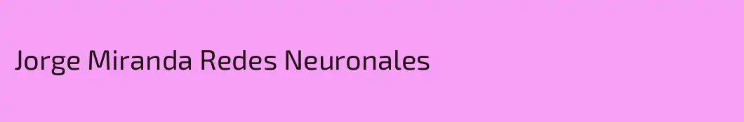 Jorge Miranda Redes Neuronales